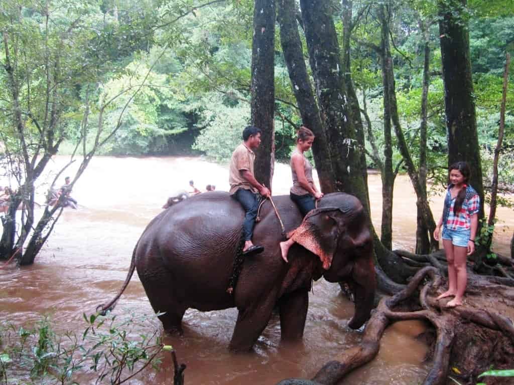 Mondulkiri_Elephant_Mondulkiri_